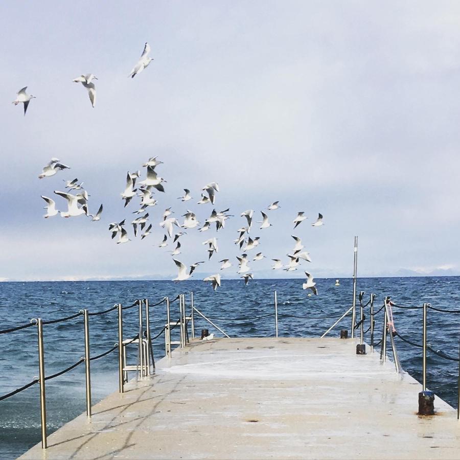 Sstudio Daire Izola Dış mekan fotoğraf